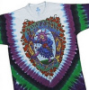 Grateful Dead - Seasons of the Dead Tie Dye T Shirt